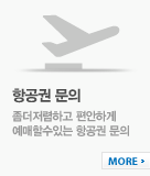 항공권문의