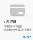 비자문의